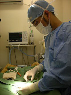 麻酔モニターにより手術中の動物を監視し、無菌手術をおこなっている院長