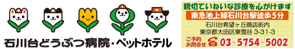 石川台どうぶつ病院ペットホテル｜大田区の犬猫うさぎ動物病院・ペットホテル